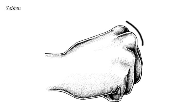 Seiken – Nắm đấm trước chuẩn Shotokan