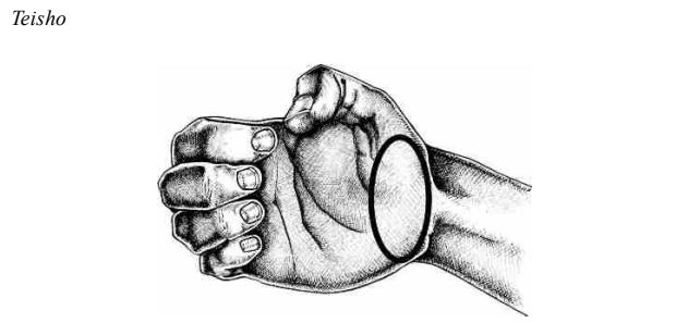Teisho – Mặt gót bàn tay trong Karate